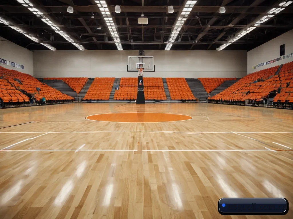 平台简介 - 体育资讯内容服务